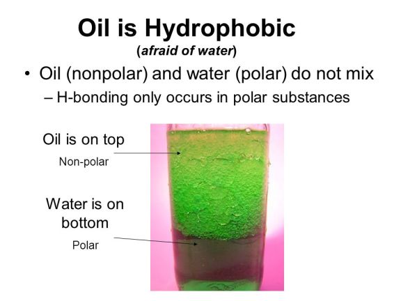 Water cannot dissolve non polar substances.jpg